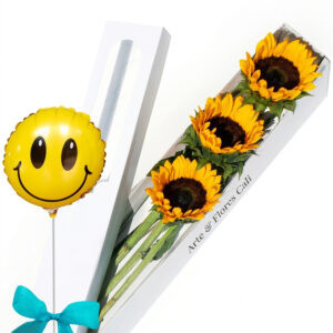 Caja de 3 Girasoles
