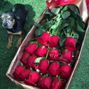 Caja de Rosas Rojas Cali