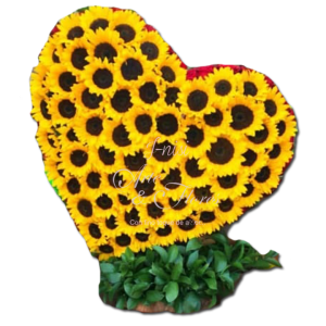 Corazón Verdadero