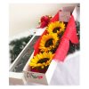 Girasoles en cali