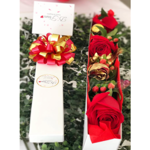Rosas hermosas