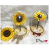 GIRASOL PRESERVADO CALI