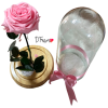 ROSA ETERNA ROSADA