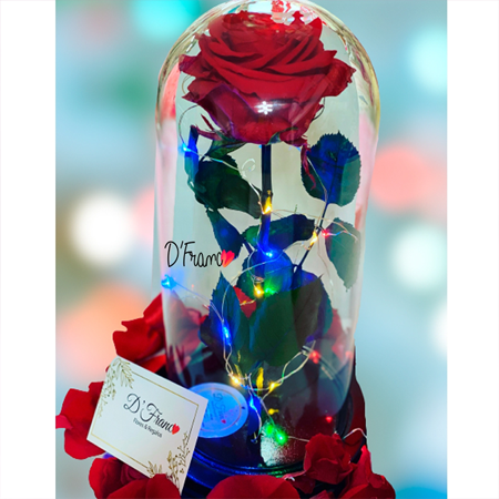 ROSA ETERNA ROJA CON LUCES