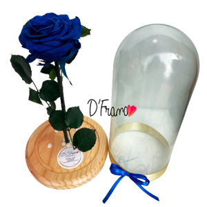 ROSA ETERNA AZUL CALI
