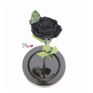 Rosa Eterna negra