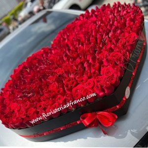 Corazón Gigante de Rosas