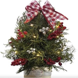 Arbol de navidad regalo Cali