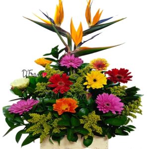 Arreglo floral gerberas Cali