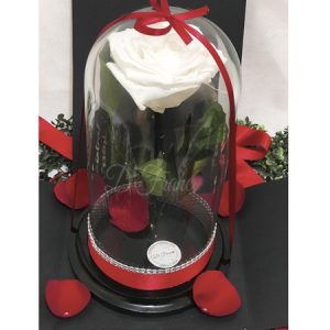 ROSA INMORTALIZADA BLANCA EN CAJA