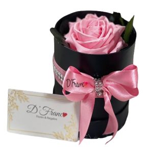 REGALO ROSA ETERNA CALI