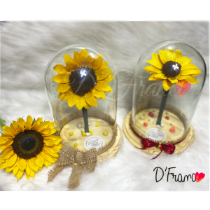 GIRASOL PRESERVADO CALI