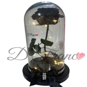 Rosa negra inmortalizada con luces Cali