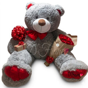 Oso Gigante Gris