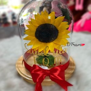 regalo