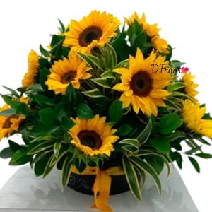 Arreglo de girasoles honey